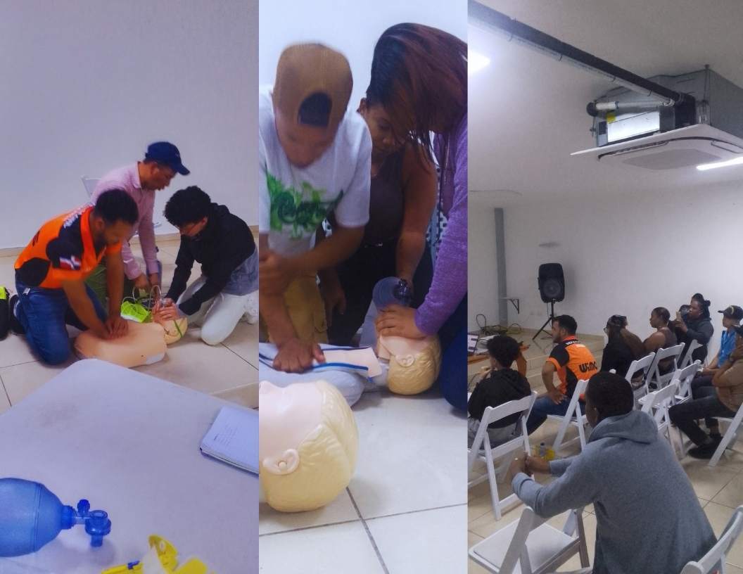 Estructura del Curso: Equilibrio entre Teoría y Práctica